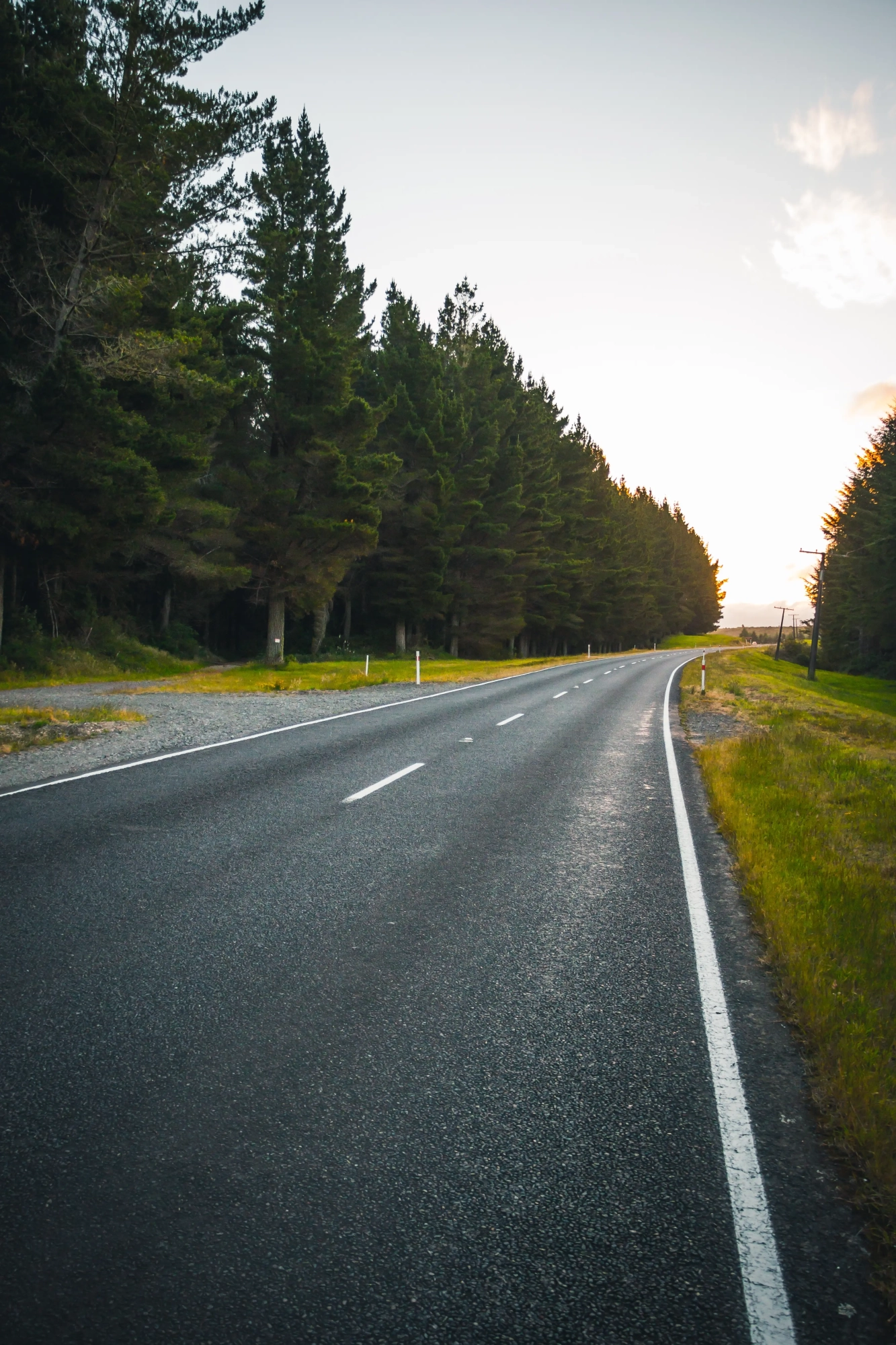 beautiful-shot-narrow-cement-road-alongside-forest-with-amazing-clear-sky